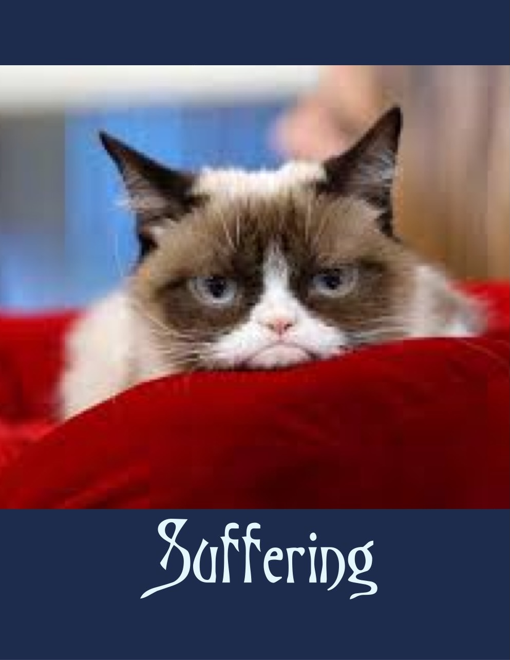 Purrsiflage – Your Inner Kitty Horoscope with Alysse Aallyn – Alysse Aallyn